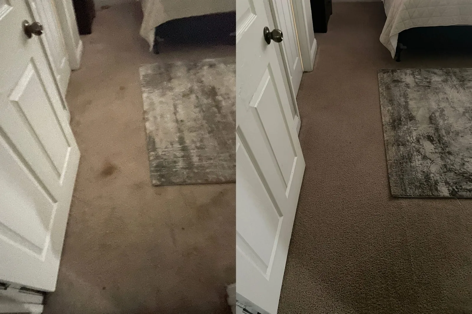 Carpet Cleaning - pet stain removal.